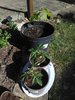 IMG_20200519_180359.jpg