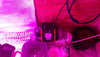 20200519_215917.jpg