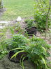 20200524_132410.jpg
