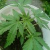 IMG_20200527_193608_063.jpg