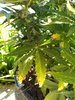 IMG_20200526_100622729.jpg