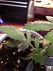 20200528_205626.jpg