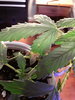 20200528_205625.jpg