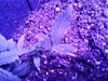 20200528_205610.jpg