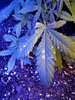 20200529_092934.jpg