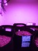 20200530_153347.jpg