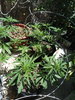 IMG_20200604_132137.jpg