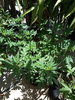 IMG_20200604_132145.jpg