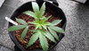 20200604_170613.jpg