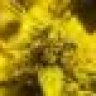 the