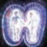 Zygote