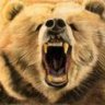TdiBear