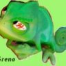 Greno