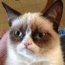 grumpygramps