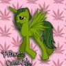 CannaBliss420