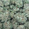StankyDank30