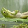 frogleg