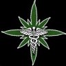 NwoodsGrower