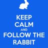 follow the rabbit Hotrod