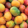 Mangos