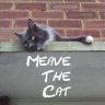 meave