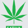 Martin Ena