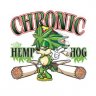 sonic420