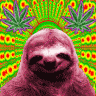 Sloth