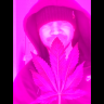 Newf420