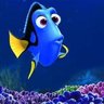 Dory