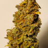 Tokes247