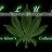 MrWeeds