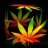 HighDesertGrowers
