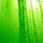 LimeGreen