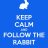 follow the rabbit Hotrod