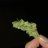 FrostyBudsPlease