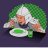 turtle soup