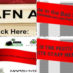 Festivus 2019 - 2020