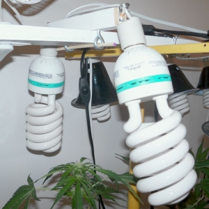 Alternative Lamp Supports