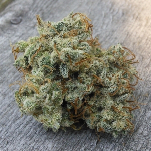 Double Grape