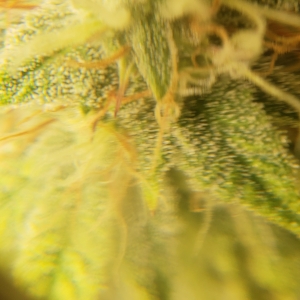20190131_150352