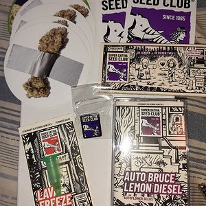 Super sativa seed club