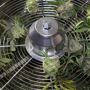 Bowl Trimmer