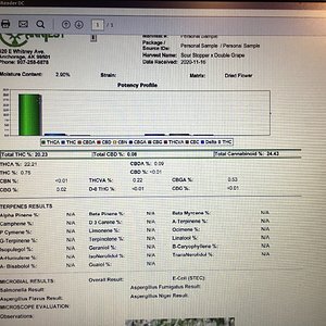 Sour Stomper x Double Grape test results