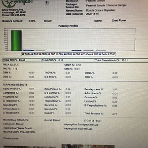 Double Grape x Skywalker test results