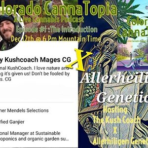 Colorado CannaTopia: A Live Cannabis Podcast Episode #1 The Introductions KushCoach Vs Allerhiligen