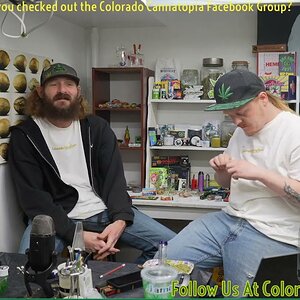 Colorado CannaTopia: A Live Cannabis Podcast Episode #3 Sour Animal Live Rosin Strain Review.