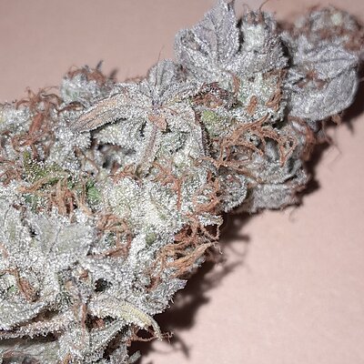 Sour diesel