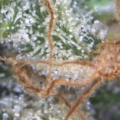 Image_2025-11-02 07_42_33_996.jpg