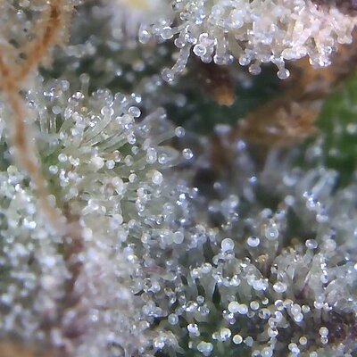 Image_2025-11-02 07_43_36_381.jpg